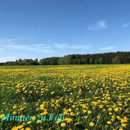 Enjoy Hiking * Aufsess