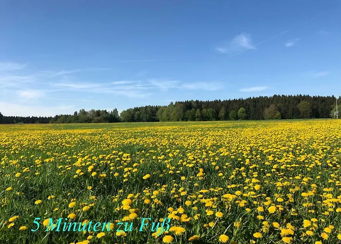 Enjoy Hiking * Aufsess